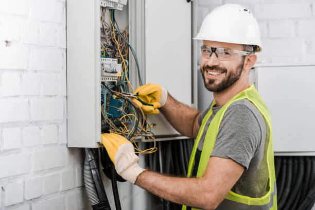 Best Electric Panel Repair  in Cannon Falls, MN