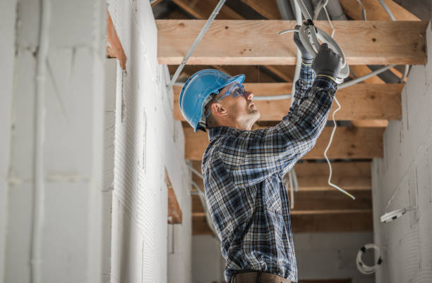 Best Electrical Contractors for Businesses  in Cannon Falls, MN
