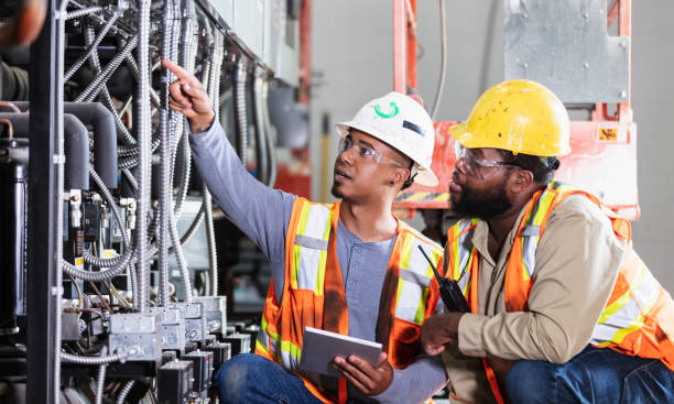 Best Residential Electrician Services  in Cannon Falls, MN