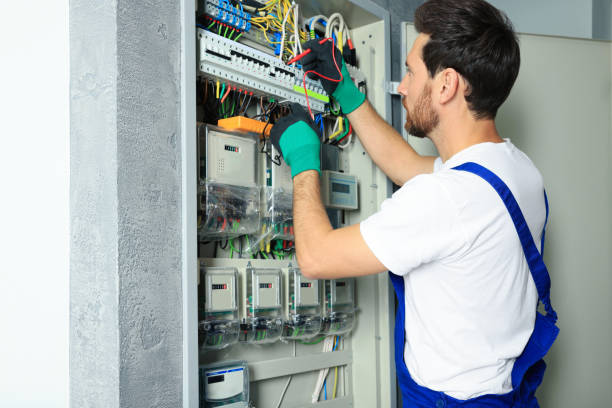 Best Electrical Wiring Services  in Cannon Falls, MN
